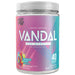 VNDL Project VANDAL PRE-WORKOUT, 40 Servings Rainbow Burst - SupplementSource.ca