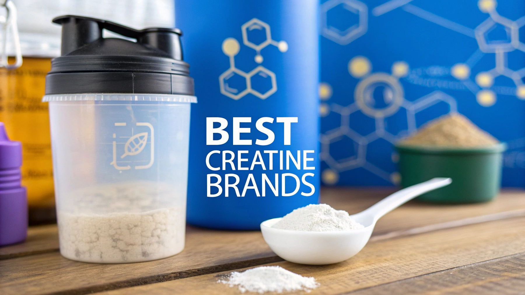 The Ultimate Guide to the Best Creatine Monohydrate Brands in Canada