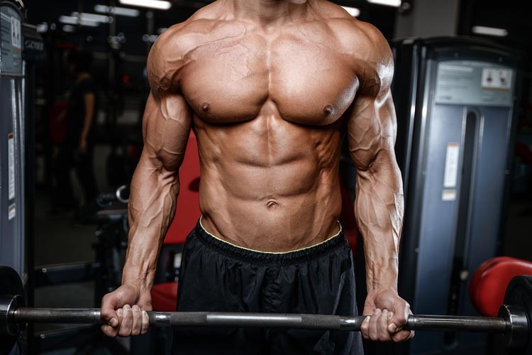 Muscular man lifting weights in the gym