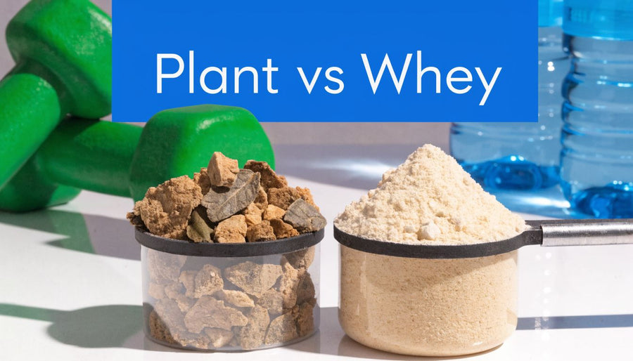 Plant Based Protein Powder vs Whey: The Ultimate Guide