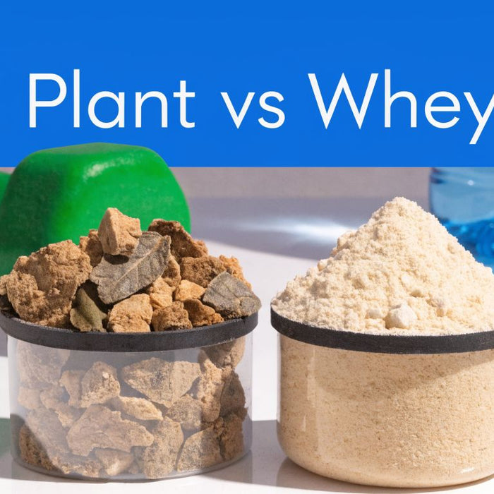 Plant Based Protein Powder vs Whey: The Ultimate Guide