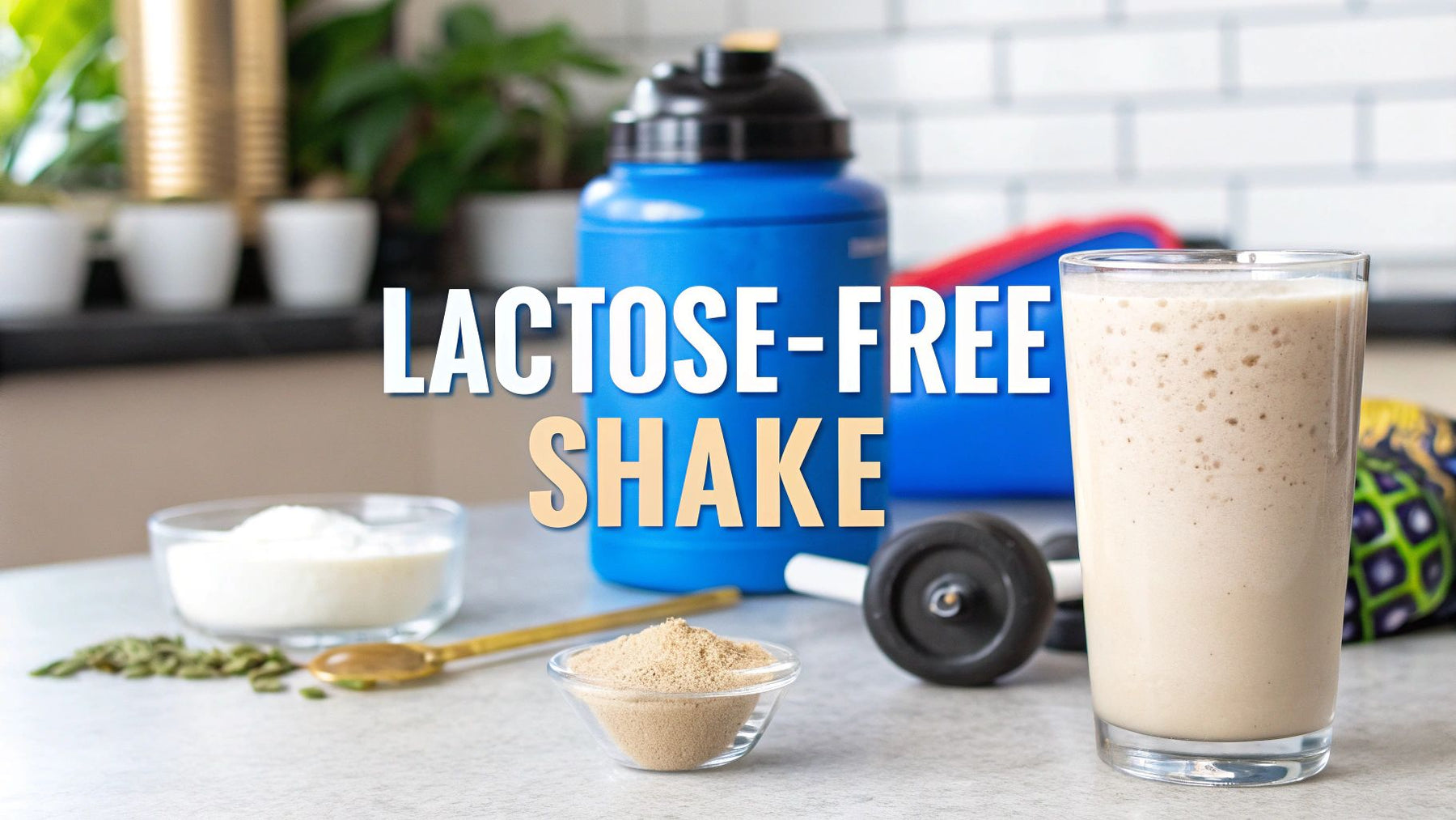 Your Guide to Finding the Best Lactose-Free Protein Shake in Canada