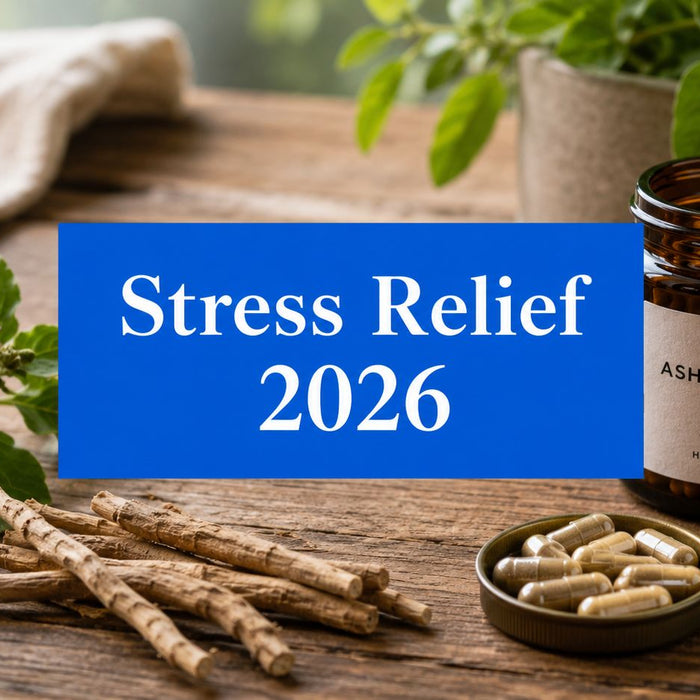 Stress Relief Supplement 2026: Your Top Picks