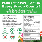 Active Green Pro Daily Greens Boost, 40 Servings Nutrition Panel - SupplementSource.ca