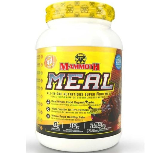 Mammoth Meal, 40 Servings, Chocolate Fudge Brownie - SupplementSource.ca