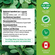 Nutridom Premium Moringa 4x Concentrated Nutrition Panel - SupplementSource.ca