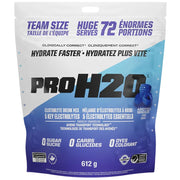 PVL ProH2O Hydration Mix, 612g Arctic Breeze - SupplementSource.ca