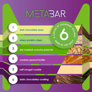 No Sugar Company METABAR 12 Bars/Box Info - SupplementSource.ca
