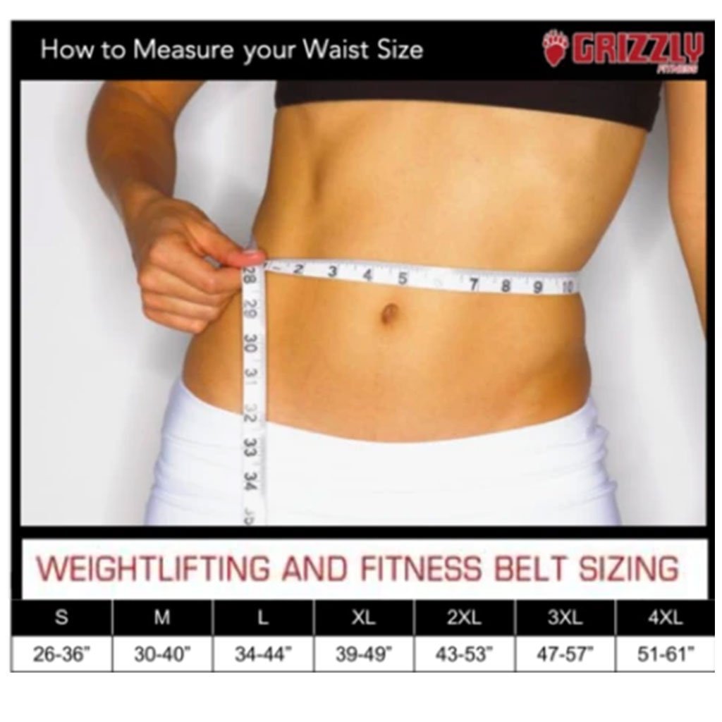 Grizzly 4" DOUBLE PRONG COMPETITION POWERLIFTING BELT Small 8472-04-S Sizing Chart - SupplementSourceca