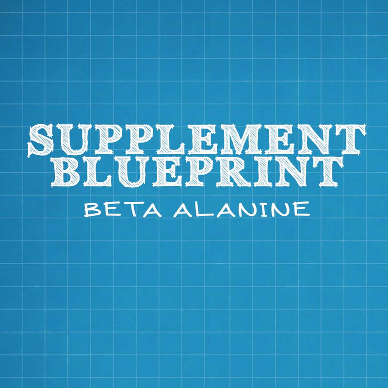 SS.ca DIGITAL DOWNLOAD - BETA ALANINE INFO SHEET - SupplementSource.ca